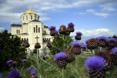 Прикрепленное изображение: херсонес колючки.JPG